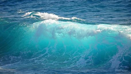 Majestic Ocean Waves Creating Serenity wallpaper