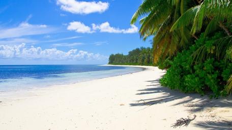 Tropical Paradise by the Shore wallpaper