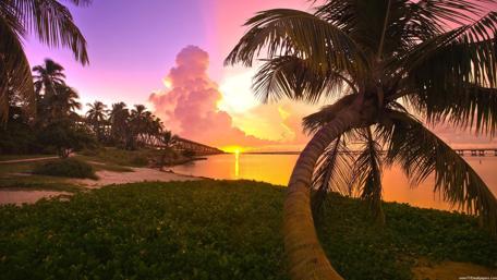 Tropical Sunset Over Serenity Waters wallpaper