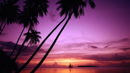 Purple Sunset Serenity Over Tranquil Waters wallpaper