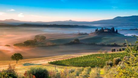 Tranquil Morning in the Countryside wallpaper