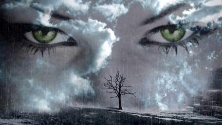 Eyes of Serenity in Nature’s Embrace wallpaper