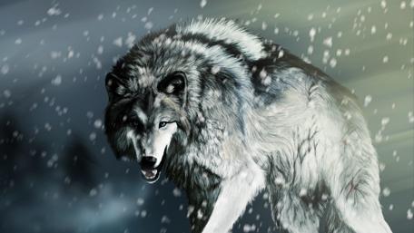 Majestic Wolf in a Snowy Landscape wallpaper