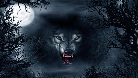 Snarling wolf wallpaper