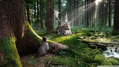 Whispers of the Enchanted Forest wallpaper