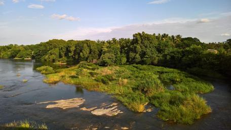 Tranquil River Surrounded by Lush Greenery wallpaper