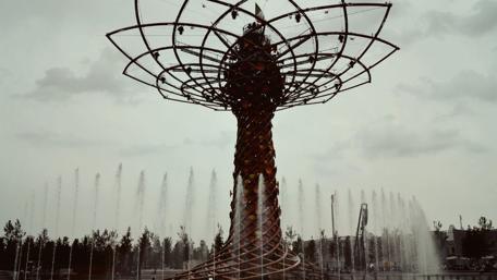 Tree of Life in Milan's Cityscape wallpaper