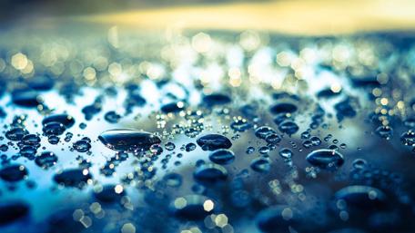 Refreshing Water Droplets on Leaves Surface wallpaper
