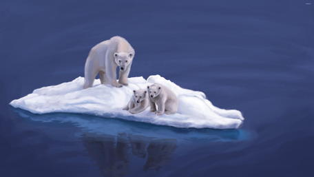 Majestic Polar Bears on Iceberg wallpaper