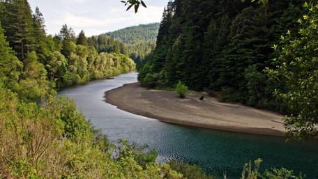 Serene River Amidst Lush Greenery wallpaper