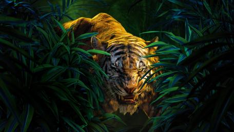 Jungle Majesty: Fierce Tiger in 4K wallpaper