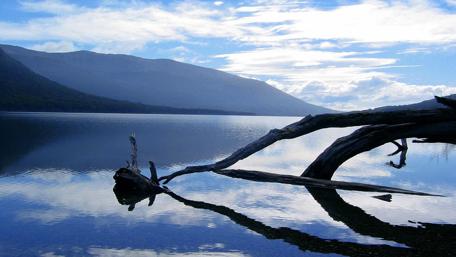 Tranquil Lake Reflection in Nature's Embrace wallpaper