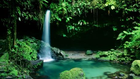 Tranquil Jungle Waterfall Scene wallpaper