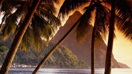Tropical Paradise at Sunset wallpaper
