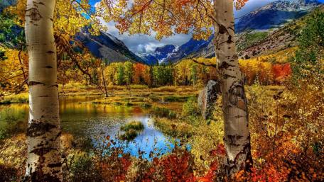Autumn Serenity in Nature’s Embrace wallpaper