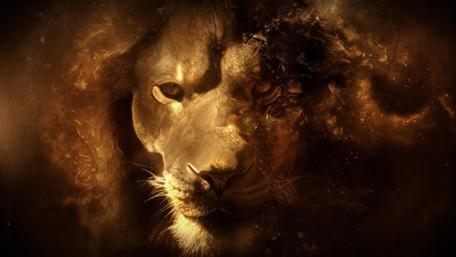 Majestic Lion in a Fiery Aura wallpaper