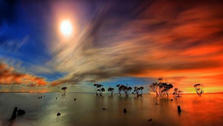 Sunset Symphony Over Water and Sky wallpaper