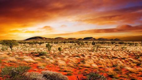 Stunning Desert Sunset Landscape Wallpaper wallpaper