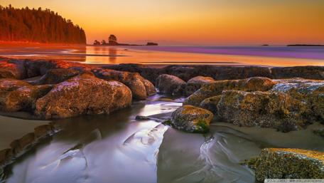 Serenity at Dusk by the Shore wallpaper