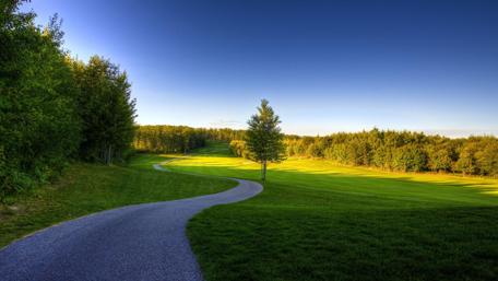 Serene Pathway Through Nature's Beauty wallpaper