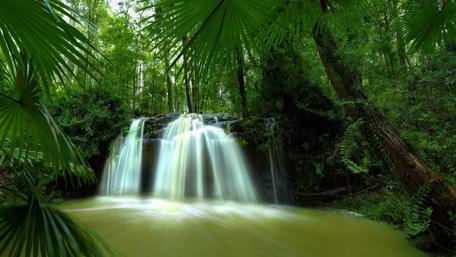 Serene Waterfall in Lush Greenery wallpaper