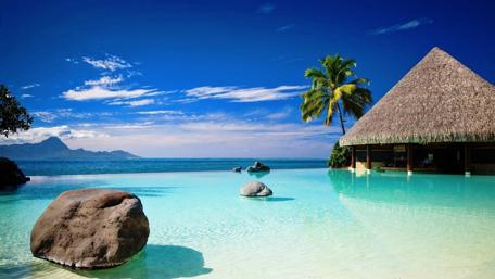Tropical Paradise with Serenity View wallpaper