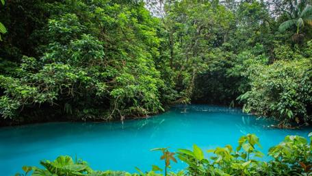 Tranquil Blue Waters Surrounded by Lush Greenery wallpaper