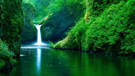Serene Waterfall in Lush Greenery wallpaper