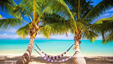 Serene Beach Hammock Retreat wallpaper