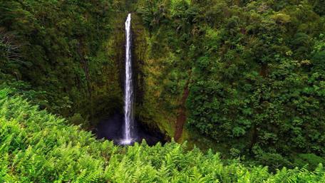 Majestic Waterfall Surrounded by Lush Greenery wallpaper