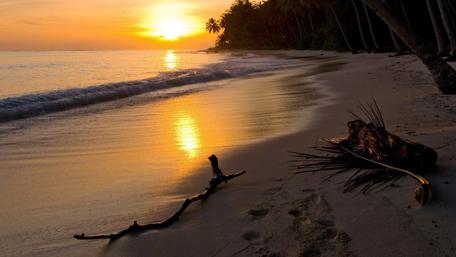 Serene Sunset on the Beach wallpaper