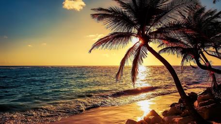Golden Sunset Serenity at the Beach wallpaper