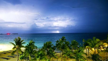 Electrifying Beachscape with Stormy Sky and Palms wallpaper