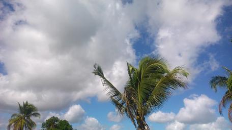 Tropical Paradise Under Bright Blue Skies wallpaper