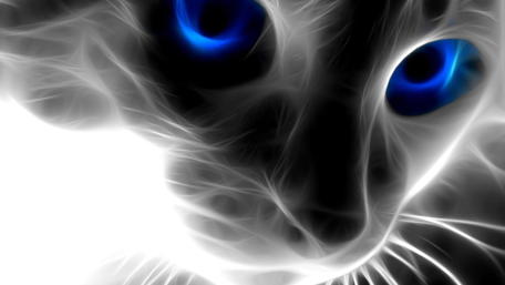 Ethereal Blue-Eyed Feline wallpaper