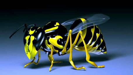 Striking 3D Yellow and Black Wasp Wallpaper wallpaper