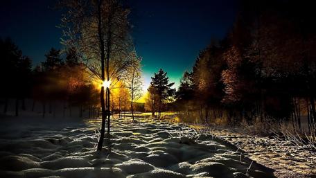 Winter Sunrise in Snow-Covered Forest wallpaper