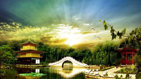 Serenity at the Golden Temple Lake wallpaper
