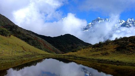 Serenity in Nature's Embrace wallpaper