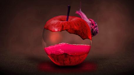 Snail's Apple Fantasy wallpaper