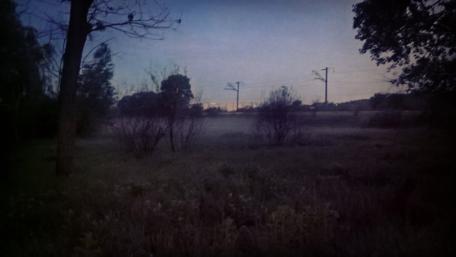 Mysterious Twilight in Nature Landscape wallpaper