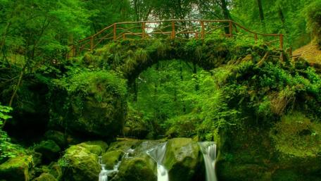 Tranquil Bridge Over Lush Waterfall Oasis wallpaper