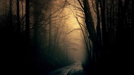 Enchanted Twilight Pathway wallpaper