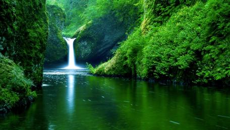 Serene Forest Waterfall Scene wallpaper