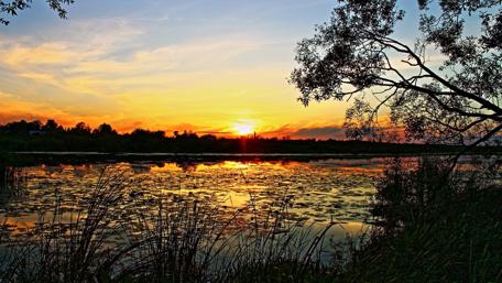 Serene Sunset by the Tranquil Lake wallpaper
