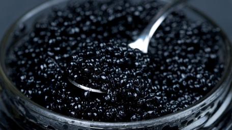 Elegant Black Caviar Delight wallpaper