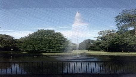 Summer Serenity in the City Park Fountain wallpaper
