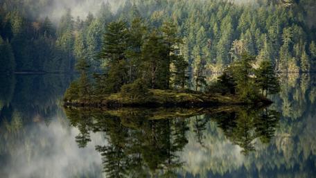Tranquil Island Reflection in Nature's Embrace wallpaper