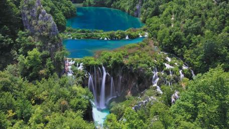 Serenity in Nature's Embrace wallpaper