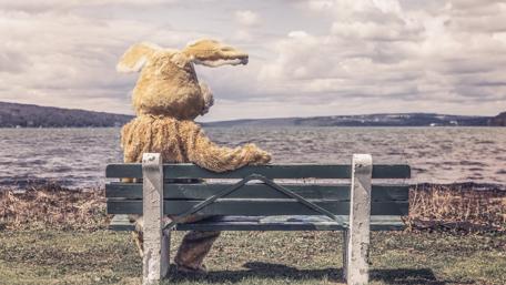 Easter Bunny Takes a Break wallpaper